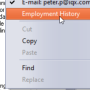 cv_employment_history2.png