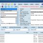 person_doc_expiry_date_example.png